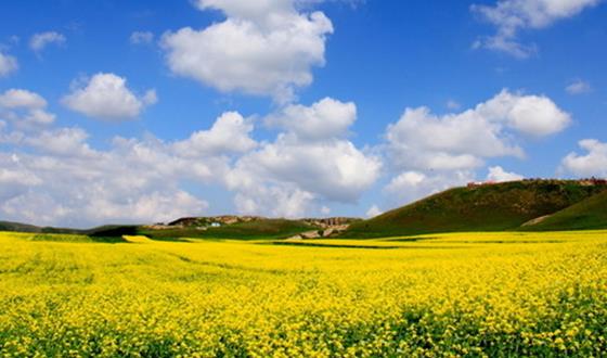 【台灣】台灣環島8日經(jīng)典行程