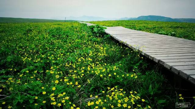 【台灣】台灣環島8日經(jīng)典行程